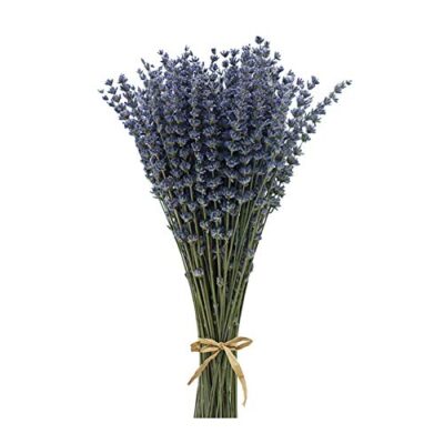 CoolCrafts Getrocknete Lavendel Bündel 100 Stiele Getrockneter Lavendelstrauß Deko